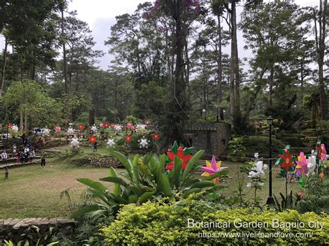 BAGUIO BOTANICAL GARDEN: All You Need to Know BEFORE You  .